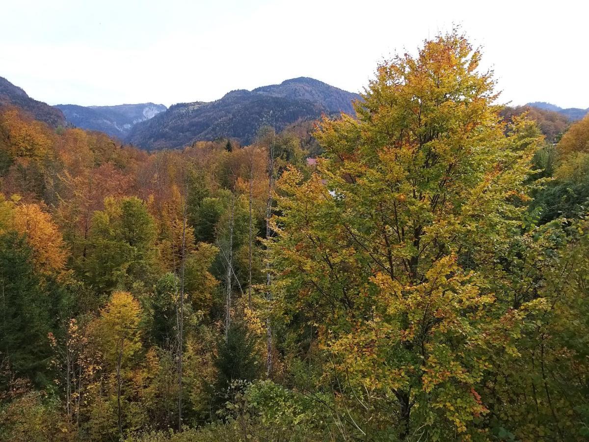 Apartamento Chill&Sleep Bad Ischl Exterior foto